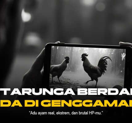 Rahasia Sabung Ayam: Tradisi, Strategi, dan Kesan Mendalam di Balik Arena