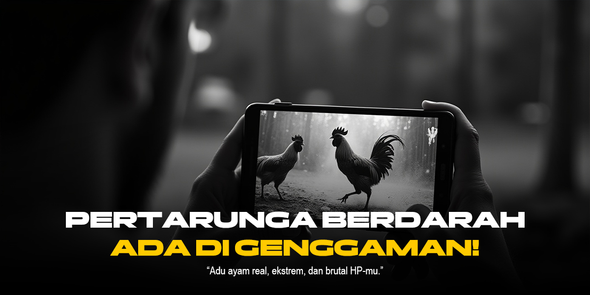 Rahasia Sabung Ayam: Tradisi, Strategi, dan Kesan Mendalam di Balik Arena