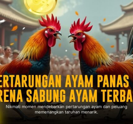 Kenali Ayam Bangkok, Raja Sabung Ayam di SV388