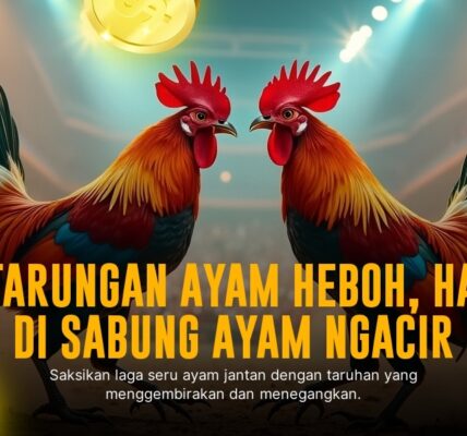 Rahasia Ayam Bangkok Aduan untuk Sabung Ayam SV388 yang Bikin Kesengsem