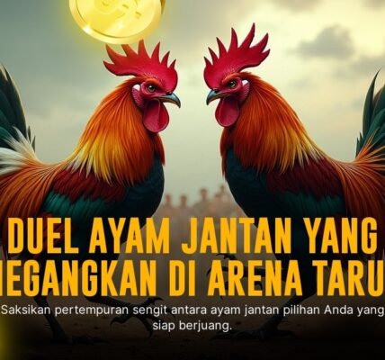Mengenal Ayam Bangkok: Raja Sabung Ayam di Dunia Taruhan