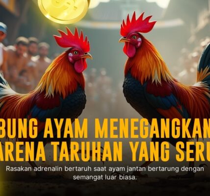Mengenal Jenis Ayam Bangkok di Sabung Ayam SV388