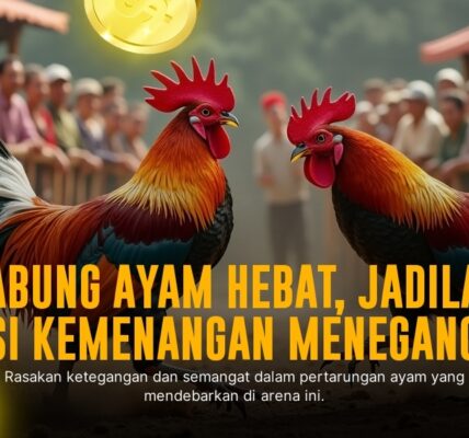 Mengenal Jenis Sabung Ayam Bangkok dan Peluang Taruhannya