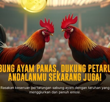 Mengenal Ayam Bangkok, Raja Sabung Ayam dengan Odds Tinggi di SV388