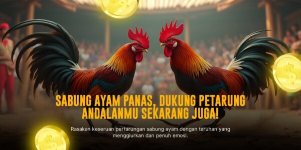 Mengenal Ayam Bangkok, Raja Sabung Ayam dengan Odds Tinggi di SV388