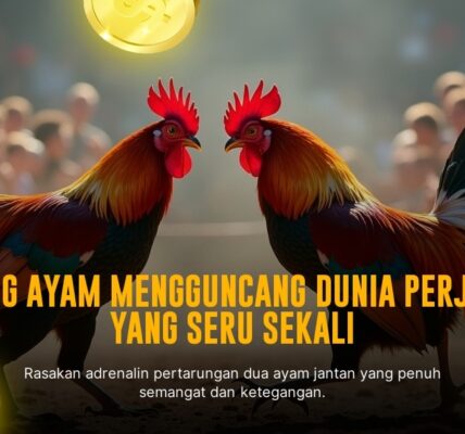 Mengenal Ayam Bangkok: Raja di Arena Sabung Ayam